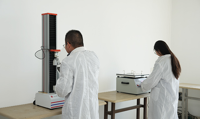 Цзянсу Чжаолун Электрикс Ко., Лтд.