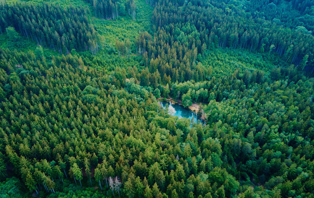 Цзянсу Чжаолун Электрикс Ко., Лтд.