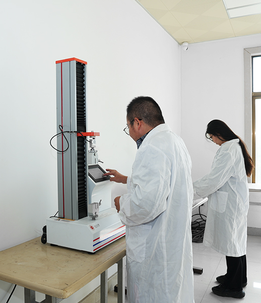 Цзянсу Чжаолун Электрикс Ко., Лтд.