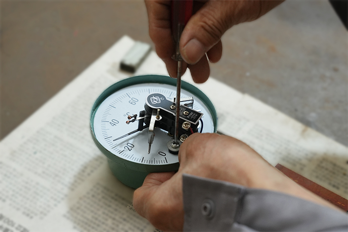 Цзянсу Чжаолун Электрикс Ко., Лтд.